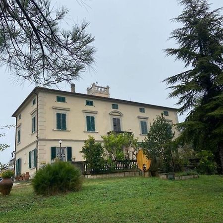 Affittacamere Porquier Crespina 外观 照片