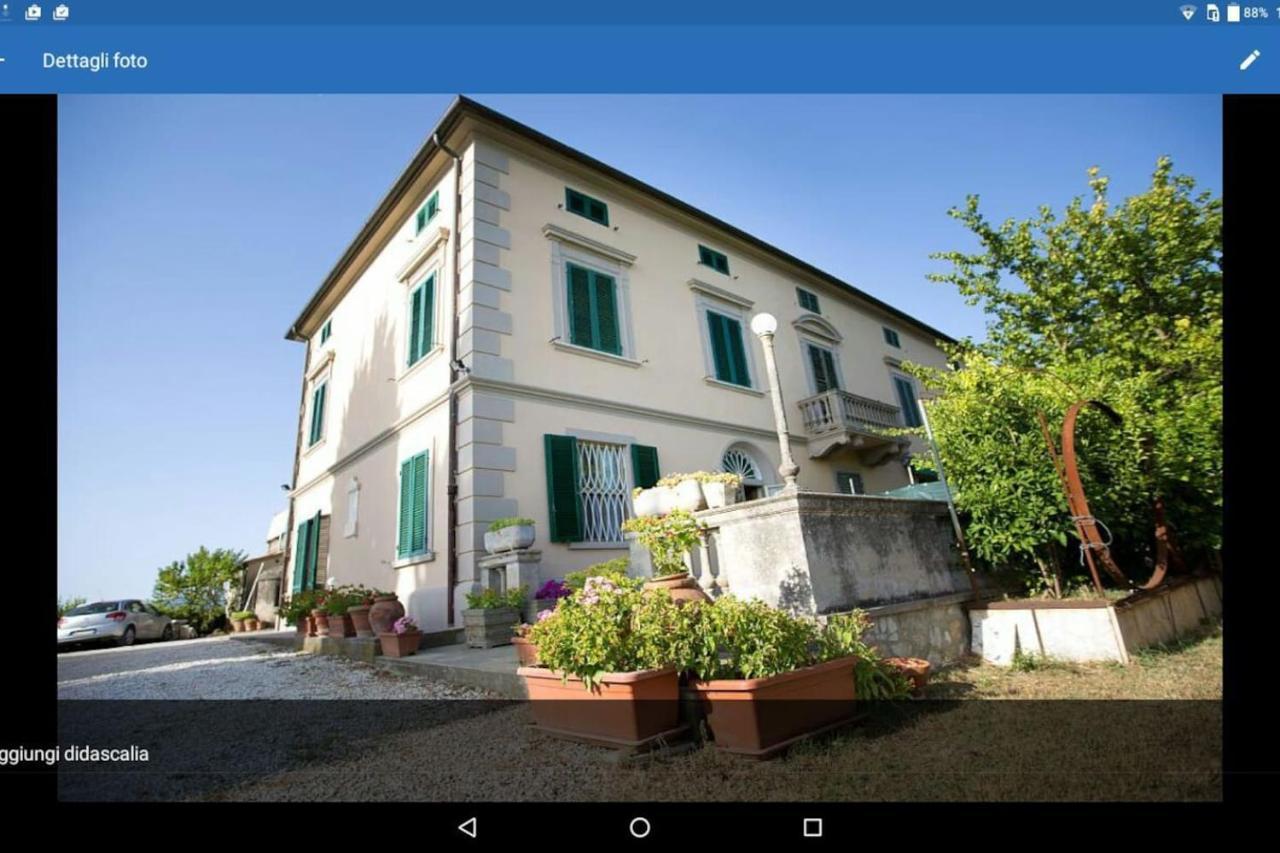 Affittacamere Porquier Crespina 外观 照片